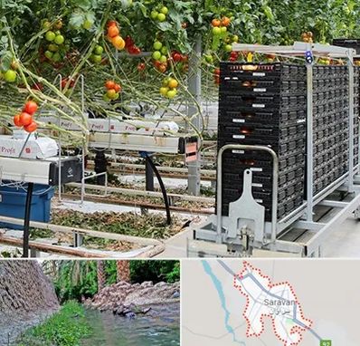 فروش تجهیزات گلخانه در سراوان