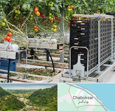فروش تجهیزات گلخانه در چابکسر