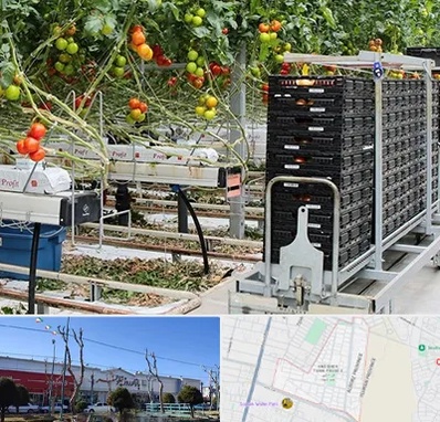 فروش تجهیزات گلخانه در فاز دو اندیشه