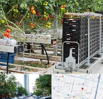 فروش تجهیزات گلخانه در امامت مشهد 