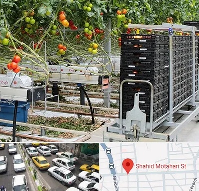 فروش تجهیزات گلخانه در مطهری تهران