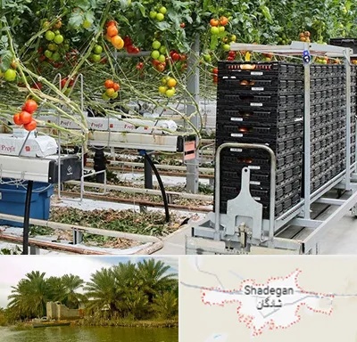 فروش تجهیزات گلخانه در شادگان