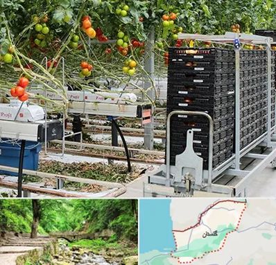 فروش تجهیزات گلخانه در گلستان