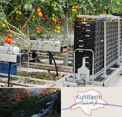 فروش تجهیزات گلخانه در کوهدشت