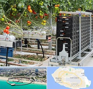 فروش تجهیزات گلخانه در کیش