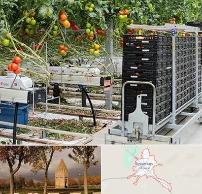 فروش تجهیزات گلخانه در تویسرکان