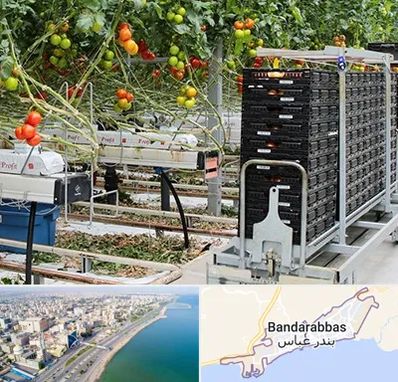 فروش تجهیزات گلخانه در بندرعباس