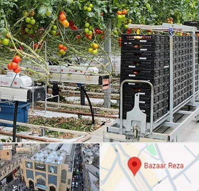 فروش تجهیزات گلخانه در بازار رضا مشهد