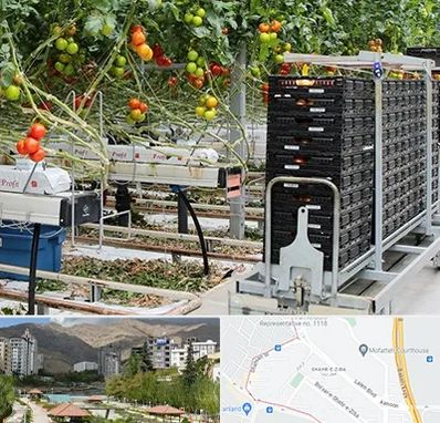 فروش تجهیزات گلخانه در شهر زیبا 