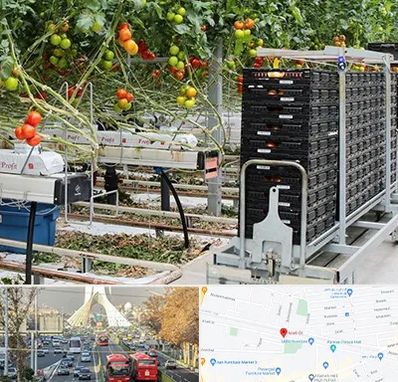 فروش تجهیزات گلخانه در خیابان آزادی 