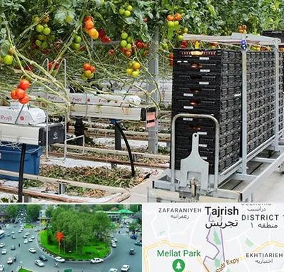 فروش تجهیزات گلخانه در تجریش 