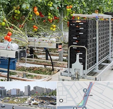 فروش تجهیزات گلخانه در هفت تیر