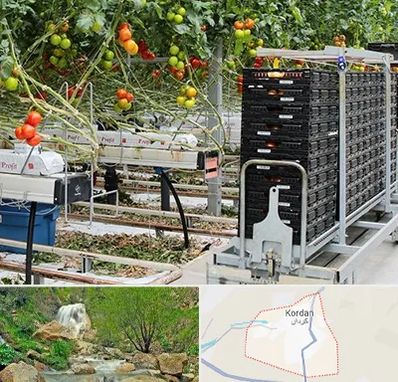 فروش تجهیزات گلخانه در کردان