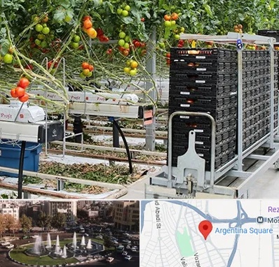 فروش تجهیزات گلخانه در آرژانتین