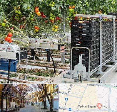 فروش تجهیزات گلخانه در تربیت تبریز