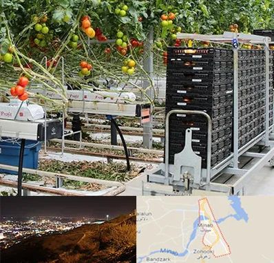 فروش تجهیزات گلخانه در میناب