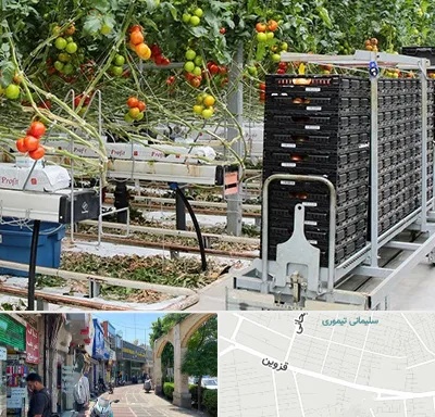 فروش تجهیزات گلخانه در خیابان قزوین