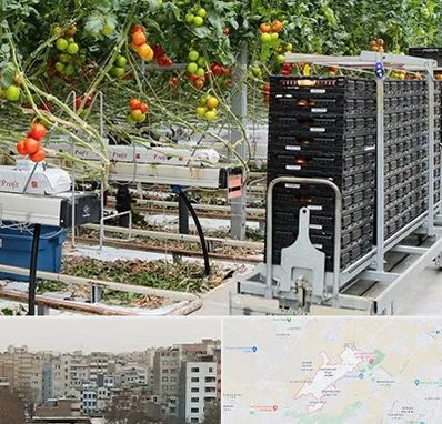 فروش تجهیزات گلخانه در محمد شهر کرج 