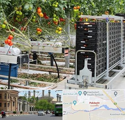 فروش تجهیزات گلخانه در پاکدشت