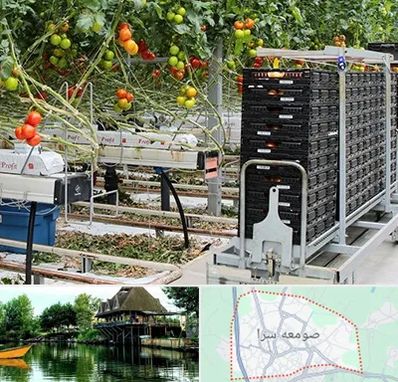 فروش تجهیزات گلخانه در صومعه سرا