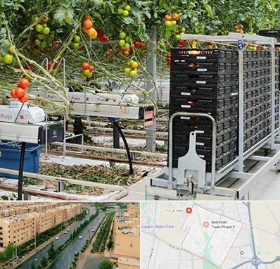 فروش تجهیزات گلخانه در فاز سه اندیشه