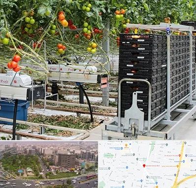 فروش تجهیزات گلخانه در آیت الله کاشانی 