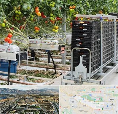 فروش تجهیزات گلخانه در منطقه 21 تهران 