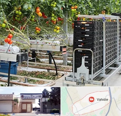 فروش تجهیزات گلخانه در وحیدیه شهریار