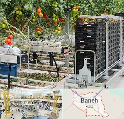 فروش تجهیزات گلخانه در بانه