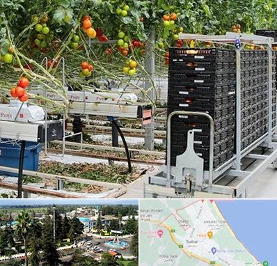 فروش تجهیزات گلخانه در رودسر