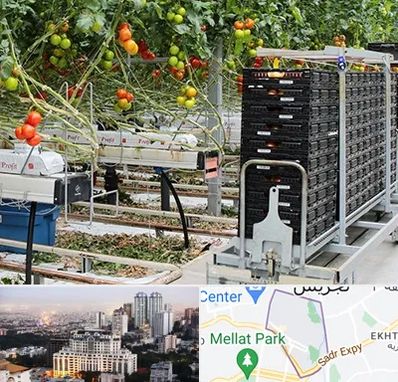 فروش تجهیزات گلخانه در الهیه 