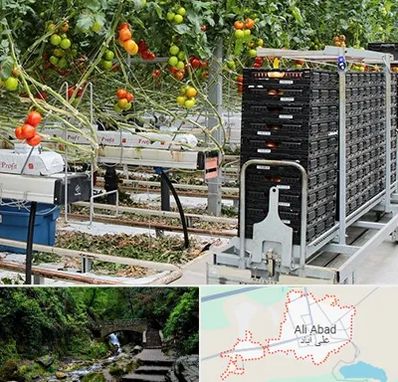 فروش تجهیزات گلخانه در علی آباد کتول