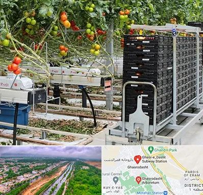 فروش تجهیزات گلخانه در قصرالدشت شیراز 