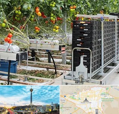 فروش تجهیزات گلخانه در تهران