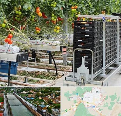 فروش تجهیزات گلخانه در مراغه