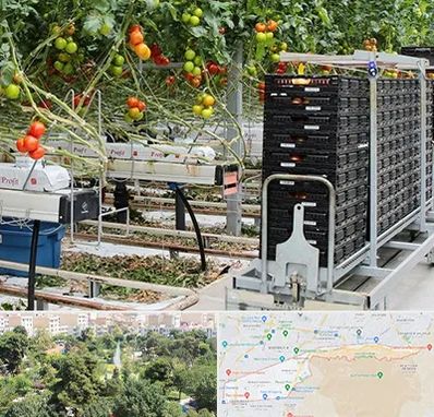 فروش تجهیزات گلخانه در منطقه 13 تهران 