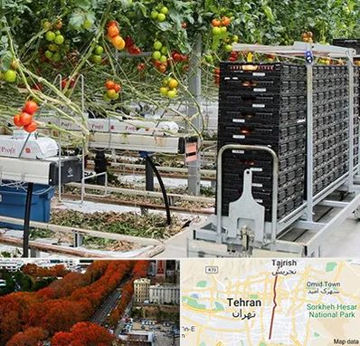 فروش تجهیزات گلخانه در ولیعصر 