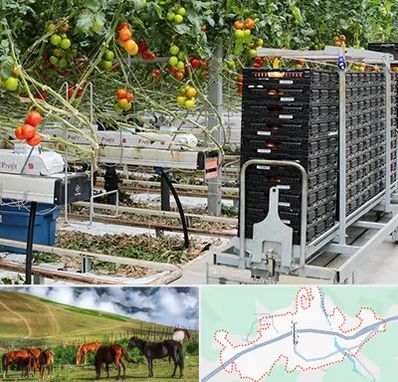 فروش تجهیزات گلخانه در تالش