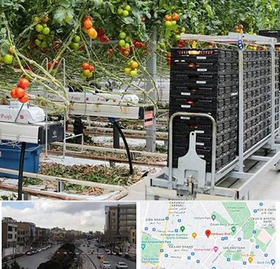 فروش تجهیزات گلخانه در بلوار فردوسی مشهد 