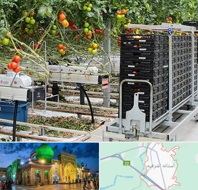 فروش تجهیزات گلخانه در آستانه اشرفیه