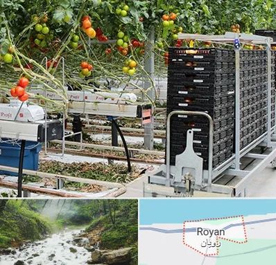 فروش تجهیزات گلخانه در رویان