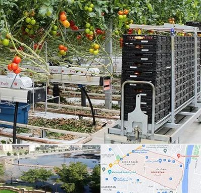 فروش تجهیزات گلخانه در گلستان اهواز 