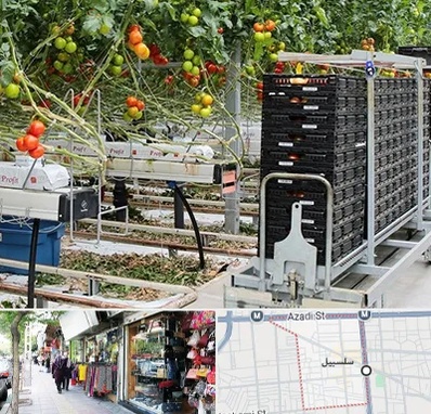 فروش تجهیزات گلخانه در سلسبیل