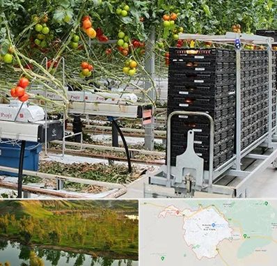 فروش تجهیزات گلخانه در بهبهان