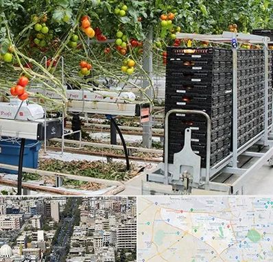 فروش تجهیزات گلخانه در منطقه 18 تهران 