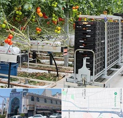 فروش تجهیزات گلخانه در بلوار ابوذر