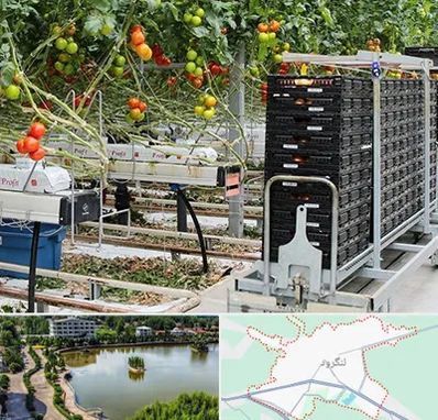 فروش تجهیزات گلخانه در لنگرود