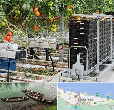 فروش تجهیزات گلخانه در بندر انزلی