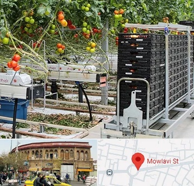 فروش تجهیزات گلخانه در مولوی
