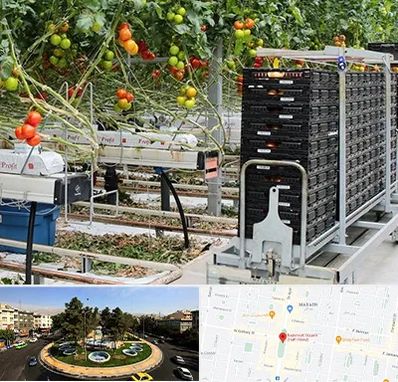 فروش تجهیزات گلخانه در هفت حوض 